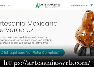 diseñadores web en veracruz
