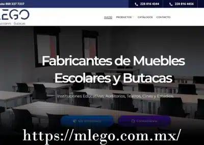 diseño y publicidad digital en xalapa
