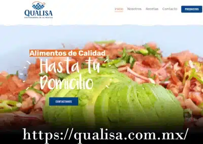 agencia de diseño web en xalapa
