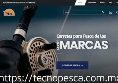 diseño web tecnopesca mexico